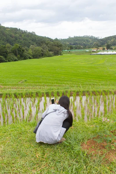 Asiatische Frauen Auf Einem Grünen Reisterrassenfeld Mae Klang Luang Chiangmai — Stockfoto