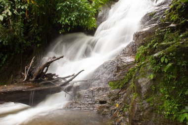 Doi Inthanon Ulusal Parkı 'nda Siribhum Şelalesi Chiangmai Thai