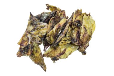 Mürekkep balığı / Mürekkep balığı yemeği