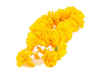 Tayland Plastik Yasemin sarı çelengi izole edildi