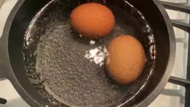 Lindas Bolhas Água Fervente Vaso Com Ovos — Vídeo de Stock