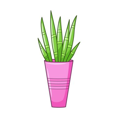 Uzun yapraklı vektör karikatür evi bitkisi. Kapalı alandaki sulu bitkiler. Ev ve iç mekanlar için ev bitkisi. Beyaz arkaplanda renkli botanik çizim izole edildi.