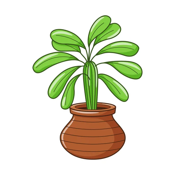 Vektorový Karikatura Dům Rostlina Hrnci Domácí Rostlina Listím Kaktusy Pro — Stockový vektor
