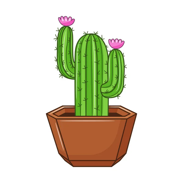 Vektorový Kreslený Kaktus Trávě Krytá Šťavnatá Rostlina Trny Květy Kaktusy — Stockový vektor