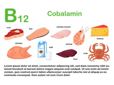 İçinde B12 vitamini içeren gıda ürünleri olan dikdörtgen bir poster. Kobalamin. İlaç, diyet, sağlıklı beslenme, bilgi grafikleri. Adı olan ürünler. Beyaz arka planda izole edilmiş düz çizgi film yemek çizimleri.