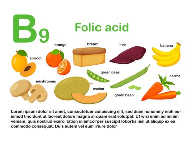 İçinde B9 vitamini içeren gıda ürünleri olan dikdörtgen bir poster. Folik asit. İlaç, diyet, sağlıklı beslenme, bilgi grafikleri. Adı olan ürünler. Beyaz arka planda izole edilmiş düz çizgi film yemek çizimleri..