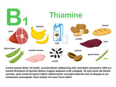 İçinde B1 vitamini bulunan gıda ürünleri olan dikdörtgen bir poster. Tiamin. İlaç, diyet, sağlıklı beslenme, bilgi grafikleri. Adı olan ürünler. Beyaz arka planda izole edilmiş düz çizgi film yemek çizimleri.