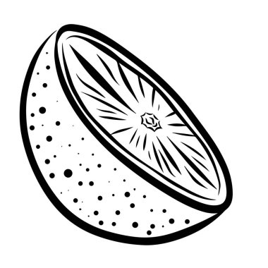 Çizim tarzında siyah ve beyaz vektör çizimi. Yarım limon, limon ya da portakal. Öge beyaz bir arkaplanda elle çizilmiş ve izole edilmiştir..