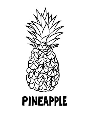 Yapraklı ve kabuklu bir ananas. Tropikal bir meyve beyaz arka planda elle çizilir ve izole edilir. Doodle tarzında siyah-beyaz vektör çizimi. Serbest el tarzında ananas çizimi.