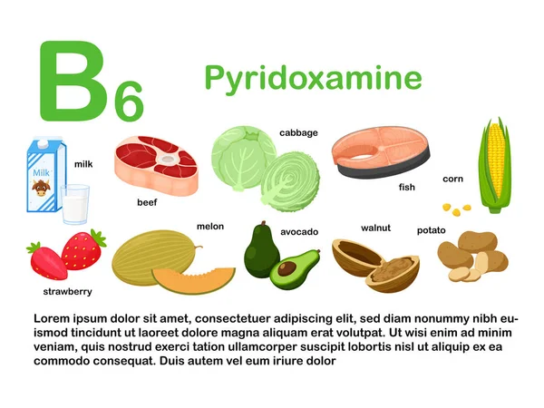 İçinde B6 vitamini içeren gıda ürünleri olan dikdörtgen bir poster. Pyridoxamine. İlaç, diyet, sağlıklı beslenme, bilgi grafikleri. İsmi olan ürünler. Düz çizgi film beyazı beyazı üzerinde izole edilmiş.