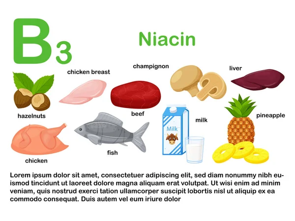 ビタミンB3を含む食品と長方形のポスター ニアシン 健康的な食事 インフォグラフィック 名前を持つ製品 白い背景に隔離されたフラット漫画食品イラスト — ストックベクタ
