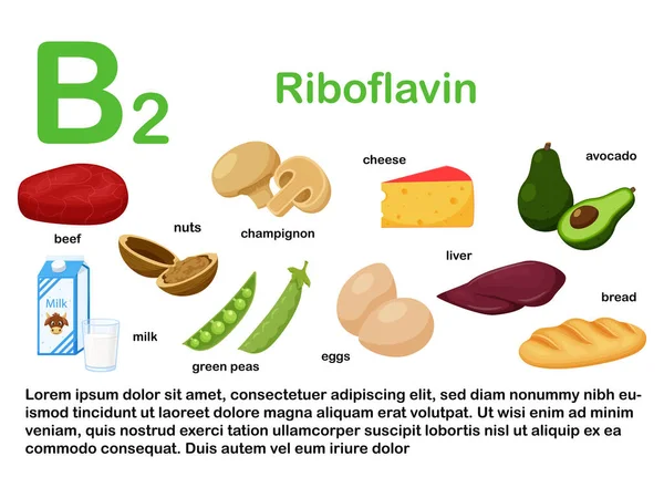 ビタミンB2を含む食品と長方形のポスター リボフラビン 健康的な食事 インフォグラフィック 名前のある製品 白い背景に隔離されたフラット漫画の食品イラスト — ストックベクタ