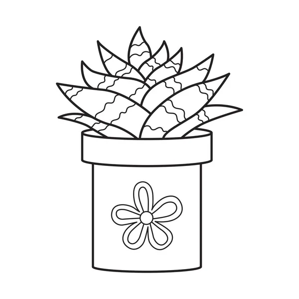 Векторный Контур Алоэ Банке Внутреннее Суккулентное Растение Мясистыми Листьями Домашний — стоковый вектор