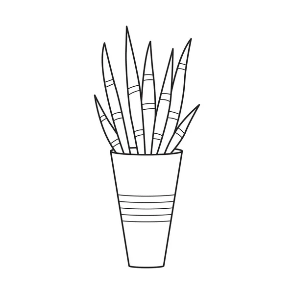 Векторное Очертание Домашнего Растения Длинными Листьями Внутреннее Суккулентное Растение Горшке — стоковый вектор