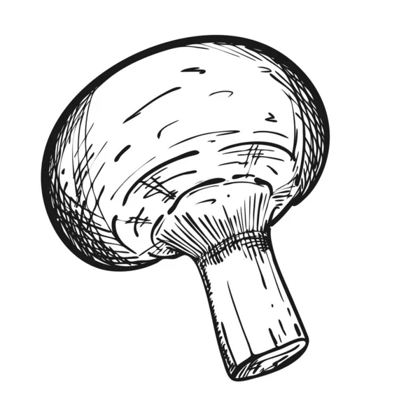 一个整体的冠军 涂鸦的风格 做汤和披萨的蘑菇 黑色和白色的草图是手绘的 用白色隔开 用于菜单设计 食品包装 装饰配方 — 图库矢量图片