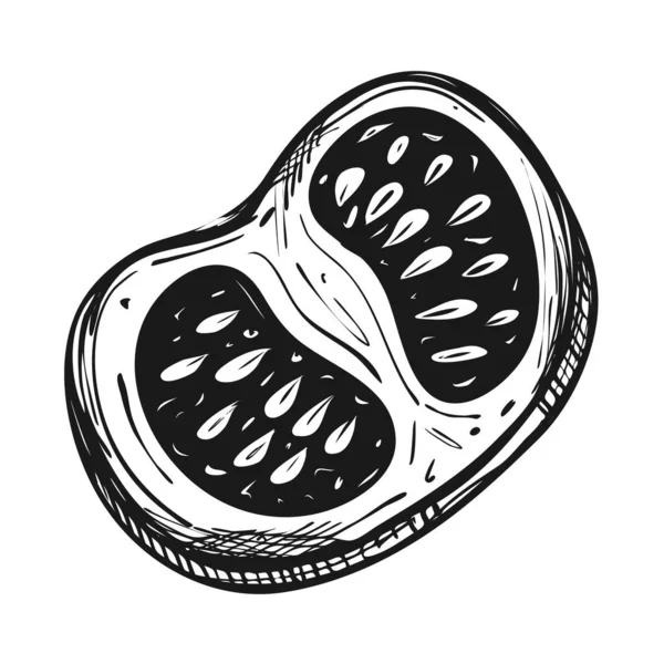 Φέτα Ντομάτας Σπόρους Λαχανικό Σκίτσο Στυλ Doodle Για Σχεδιασμό Μενού — Διανυσματικό Αρχείο