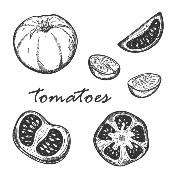 Sketsa Tomat Dalam Berbagai Jenis Diatur Dengan Utuh Dipotong Memanjang - Stok Vektor