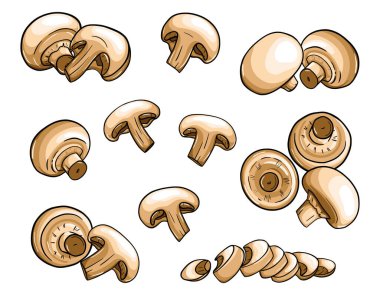 Elle çizilmiş şampiyonlar. Düz bir tarzda mantarlar beyaz arka planda izole edilir. Tam, kesik, dilimler, yarımlar. Gıda paketleme tasarımı için renk vektör çizimi