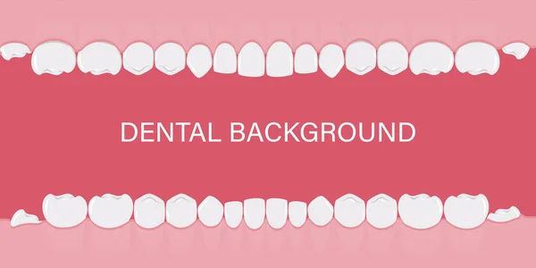 Background Teeth Row Human Teeth Gum Background Dentists Orthodontists Template — Stock Vector