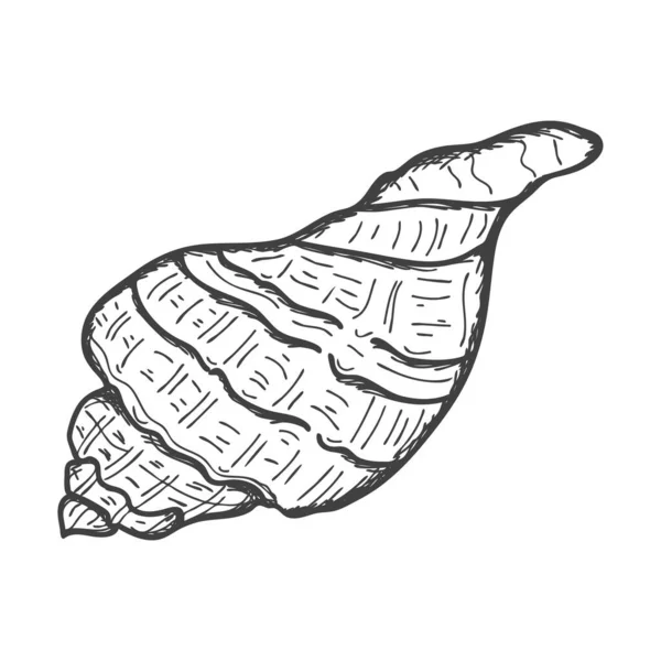手描きの貝殻 貝やカタツムリの空のスパイラル固体シェル スケッチスタイル 刻まれた図面 白を基調とした黒と白のイラスト — ストックベクタ