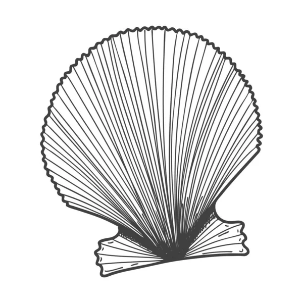 Des Coquillages Dessinés Main Coque Pleine Ovale Vide Fermée Plate — Image vectorielle