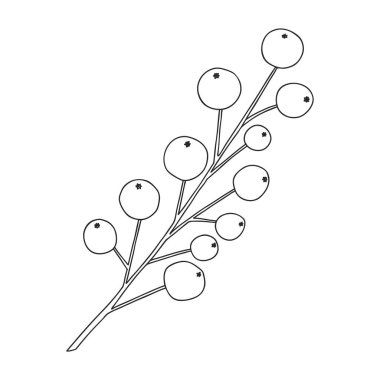 Branch of plant with berries. Botanical design element for the design of magazines,menus and recipes. Simple black and white vector illustration drawn by hand, isolated on a white background
