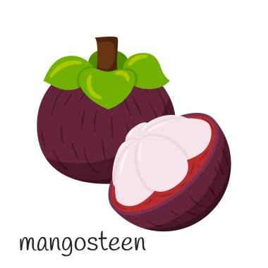 Bütün mangosteen ve yarısı derisiz. Düz stil. Egzotik, tropik meyve ikonu. Beyaz arkaplanda izole edilmiş renk vektörü çizimi
