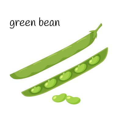 Bir elmanın iki yarısı. Kapalı ve açık bir kapsül içinde Legume fabrikası. Yiyecek ambalajı, yemek tarifleri ve menülerin tasarımı için bir element. Düz biçimde beyaz vektör illüstrasyonunda izole edilmiş