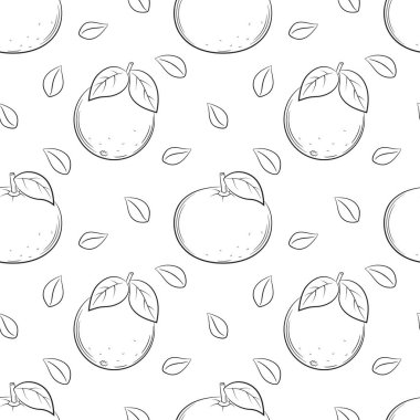 Portakallı ve mandalinalı kusursuz desen. Siyah ve beyaz el yapımı doğrusal elementler şeffaf bir arkaplanda izole edilir. Mutfak aksesuarları ve yiyecek ambalajı tasarımı için.