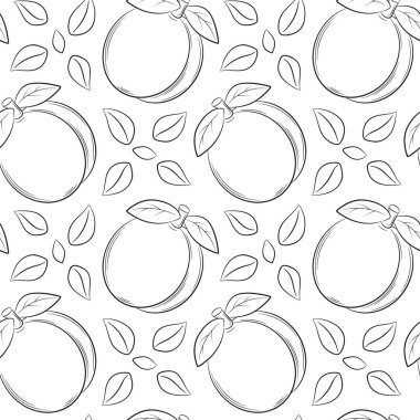 Kayısı, şeftali ve yapraklarla kusursuz bir desen. Siyah ve beyaz el yapımı doğrusal elementler şeffaf bir arkaplanda izole edilir. Mutfak aksesuarları ve yiyecek ambalajı tasarımı için.