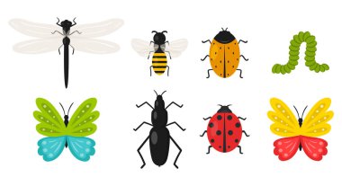 Böcek koleksiyonu. Kelebek, böcek, arı, tırtıl, uğur böceği, yusufçuk. Yaz, çizgi film tarzında tatlı, bahar hayvanları. Beyaz bir arkaplanda izole edilmiş