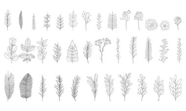Yapraklı 37 adet el yapımı dal. Doodle tarzı. Botanik, kartpostal tasarımı için bitki öğeleri, davetiyeler, desenli fırçalar. Beyazda izole edilmiş. Siyah-beyaz vektör çizimi