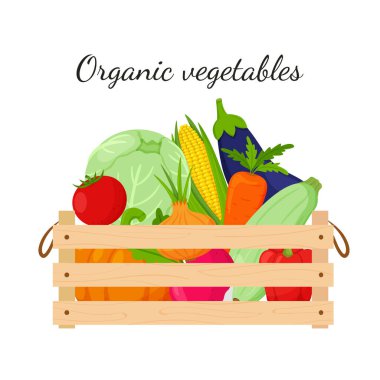Sebze, balkabağı, mısır, havuç, pancar, patlıcan, kabak, lahana dolu tahta bir kutu. Doğal, organik yiyecekler. Kendi sebzelerinizi yetiştirme fikri. Vektör çizimi. Beyazda izole edilmiş