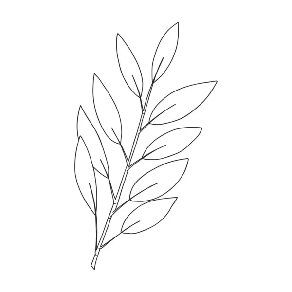 茎に葉を持つ植物の小枝 植物装飾要素 手描きのシンプルな黒と白のベクトルイラストで 白地に孤立 — ストックベクタ