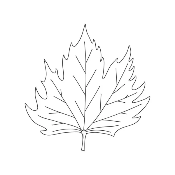 Feuille Érable Elément Décoratif Botanique Symbole Automne Illustration Vectorielle Simple — Image vectorielle