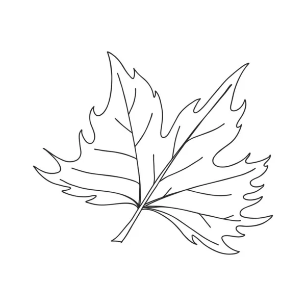 Feuille Érable Elément Décoratif Botanique Symbole Automne Illustration Vectorielle Simple — Image vectorielle