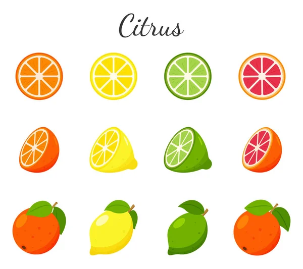 Ikonen Aus Obst Und Zitrusfrüchten Orange Grapefruit Limette Und Zitrone — Stockvektor