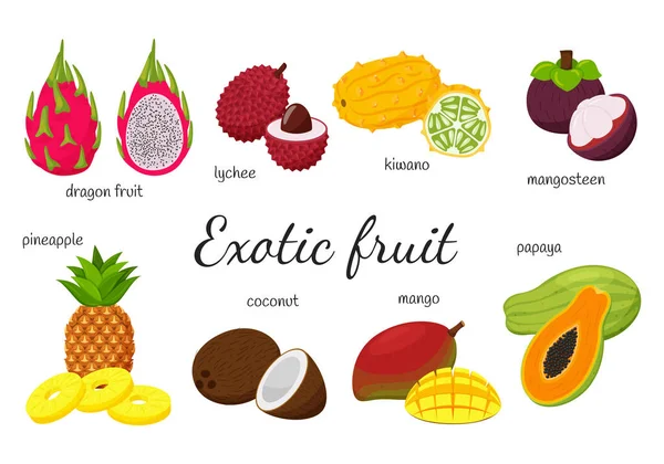 Ensemble Fruits Exotiques Tropicaux Fruits Entiers Fendus Mangue Papaye Fruit — Image vectorielle