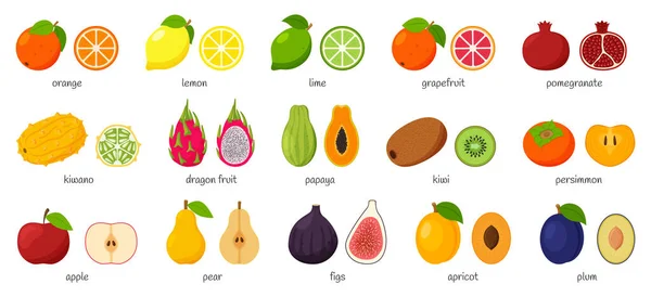 名前と熱帯 エキゾチックな柑橘類の果物の大規模なコレクション カットアウトフルーツのセット 果物のペア 全体と半分にカット フラットベクトルイラスト 白い背景に隔離されたデザイン要素 — ストックベクタ