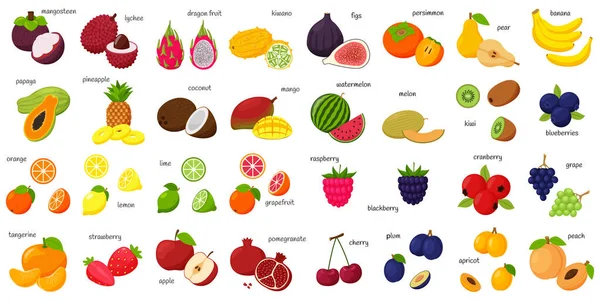 有名字的热带 异国情调 柑橘类水果 水果和浆果图标 整个水果 半切半切 巨大的收藏品 平坦的 彩色矢量图解 在白色上隔离的设计元素 — 图库矢量图片