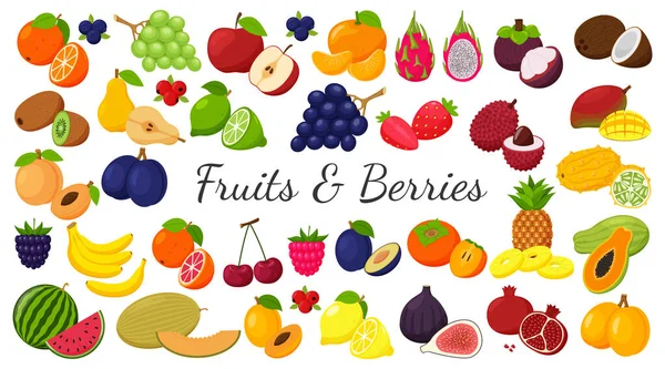 Eine Große Menge Tropischer Exotischer Zitrusfrüchte Symbole Aus Obst Und — Stockvektor