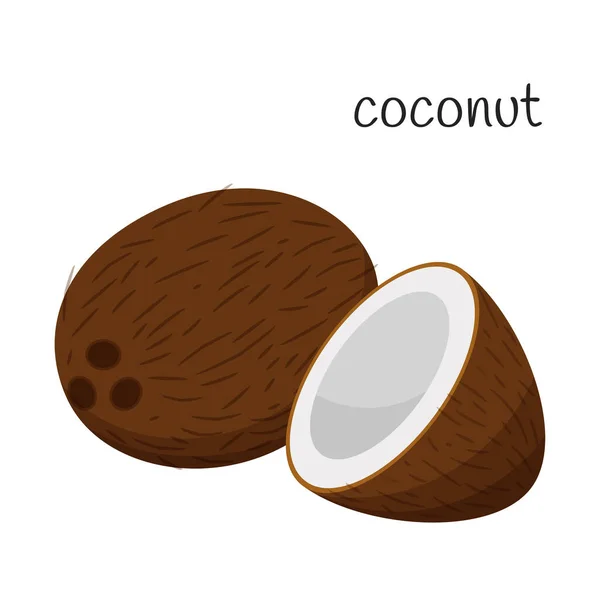 Coconut Whole Half Tropical Exotic Fruit Icon Nut Flat Design — Stock Vector