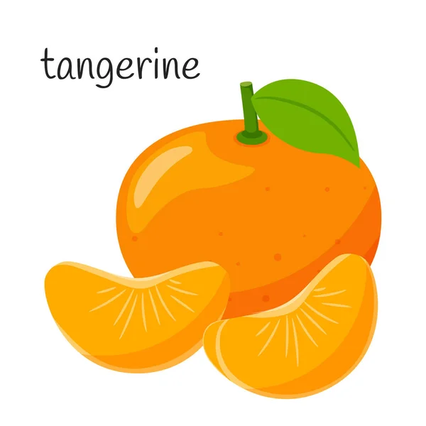 Mandarine Entière Avec Feuilles Deux Tranches Une Côté Autre Fruits — Image vectorielle