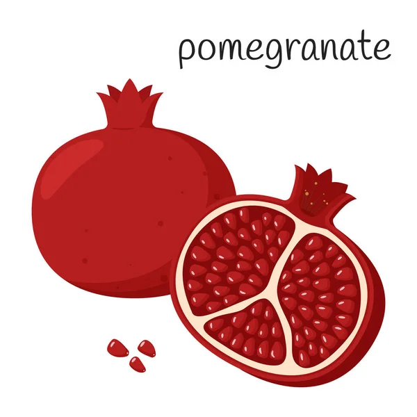 Whole Pomegranate Half Cut Seeds Exotic Fruit Icon Flat Style — Stock Vector