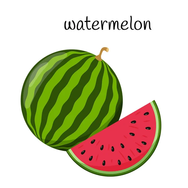 Een Hele Watermeloen Een Gesneden Stuk Watermeloen Fruit Bessen Icoon — Stockvector