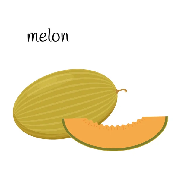 Meloen Geheel Snijd Een Stuk Fruit Bessen Icoon Vlak Ontwerp — Stockvector