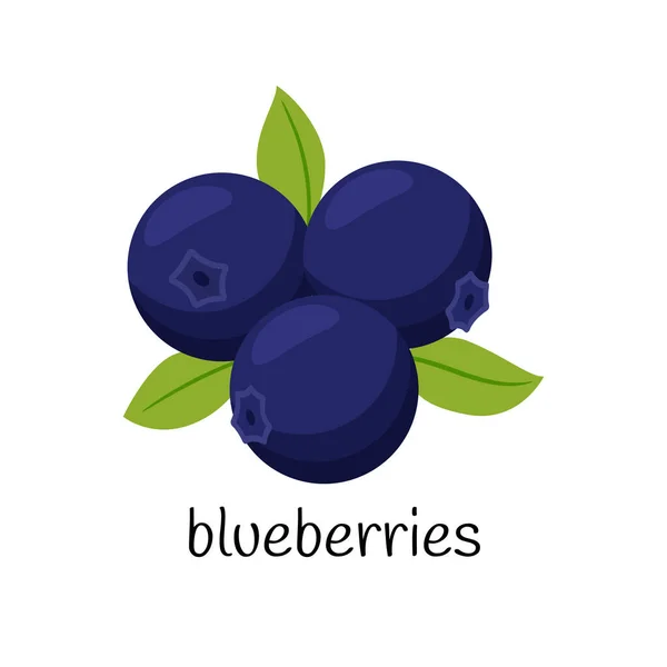 Blaubeeren Mit Blättern Drei Beeren Obst Beeren Flaches Design Farbvektordarstellung — Stockvektor