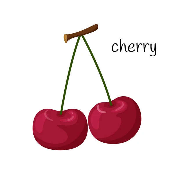 Két Cseresznye Egy Ágon Gyümölcs Bogyó Ikon Lapos Kialakítás Színes — Stock Vector