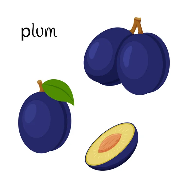 Whole Plum Twig Leaf Cut Half Seed Fruit Icon Flat — Stock Vector