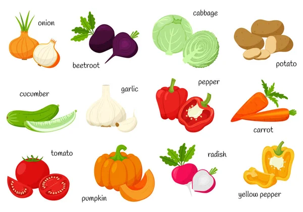 Friss Zöldségkészlet Aláírt Tételekkel Teljes Fél Gyűjteménye Dekoratív Élelmiszer Design — Stock Vector